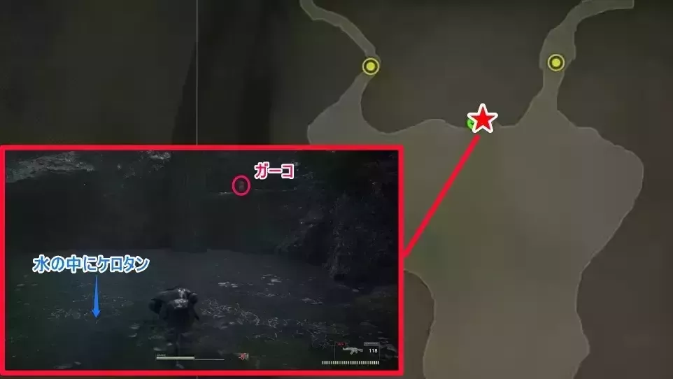 沼地ガーことケロタン