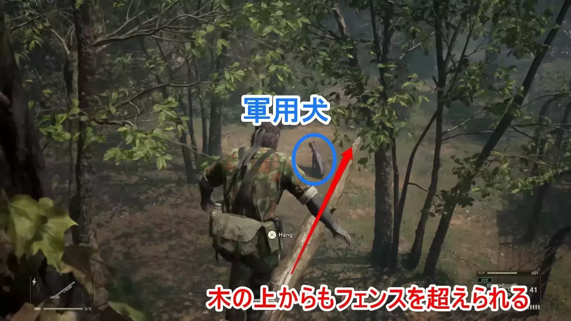 二つ目のフェンスと軍用犬