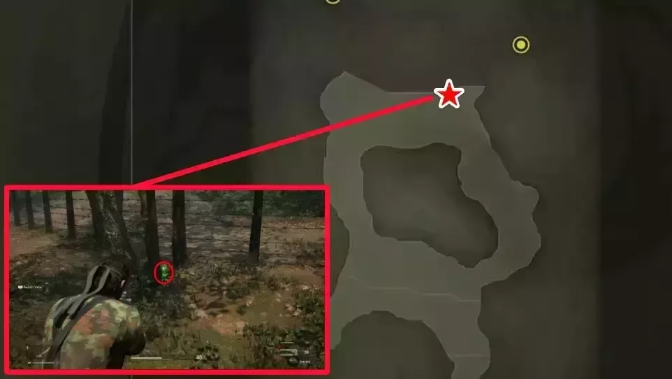 木の根元のケロタン