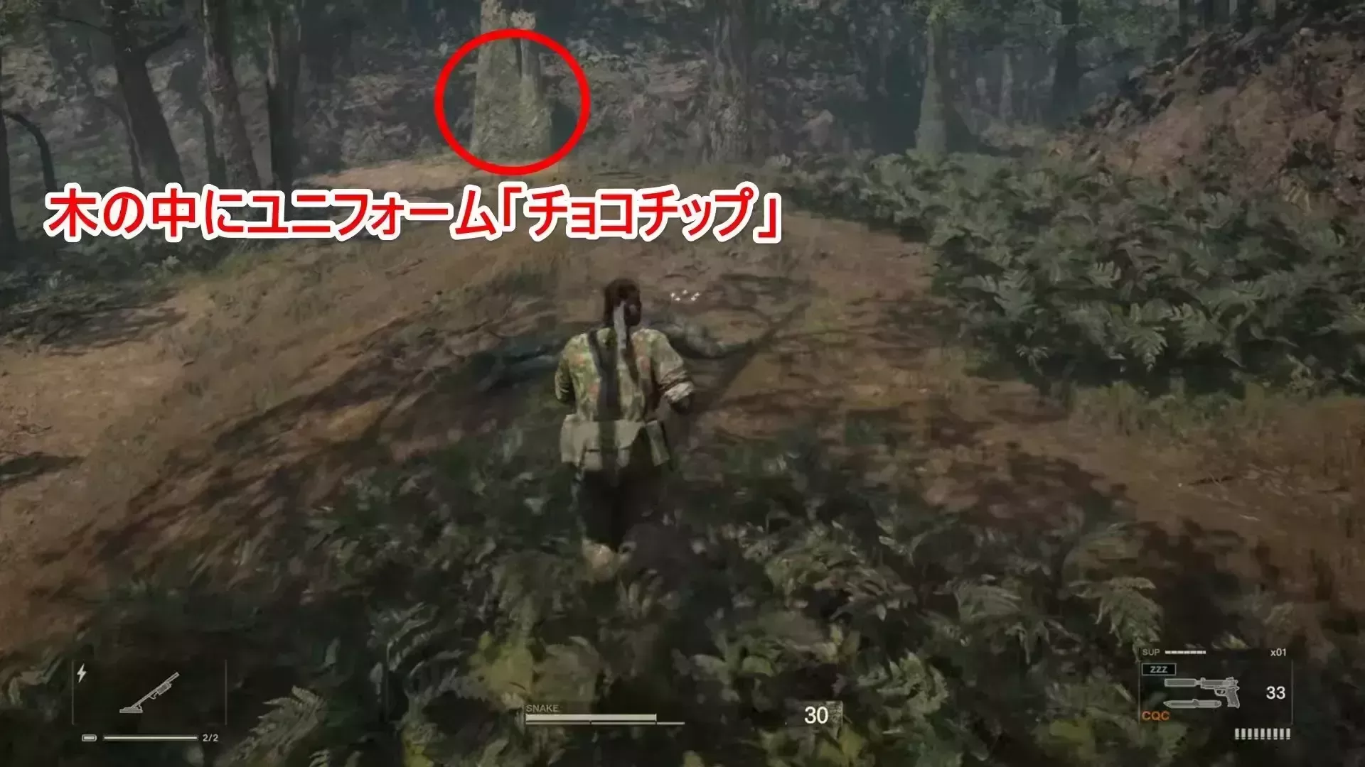 チョコチップの場所