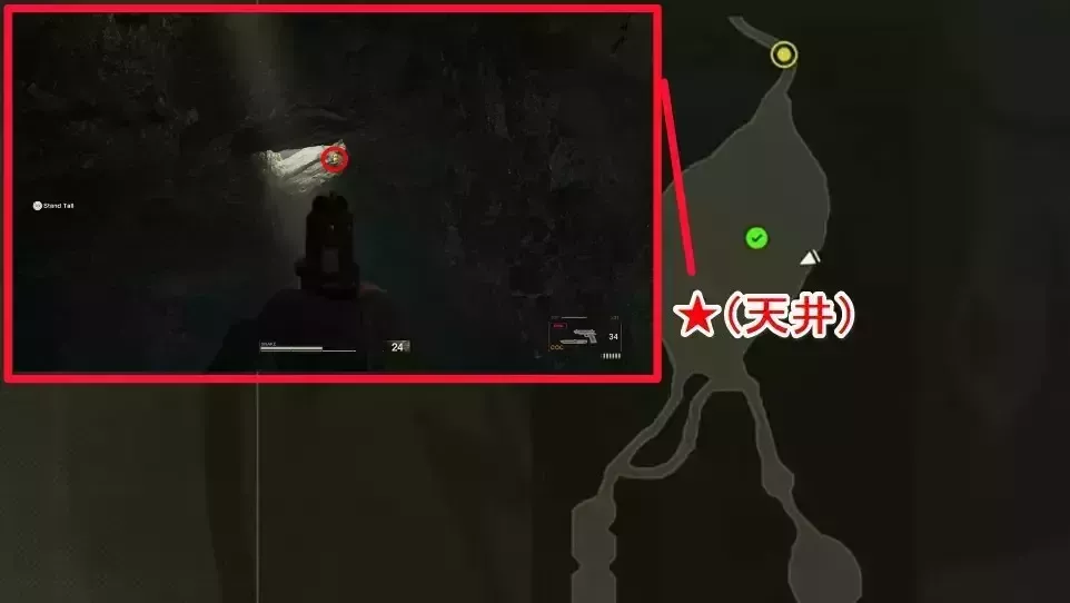 ペインガーコ