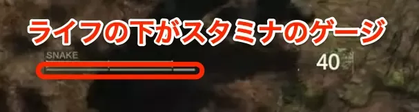 スタミナゲージ