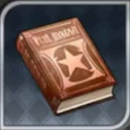 強化冒険記(銅)