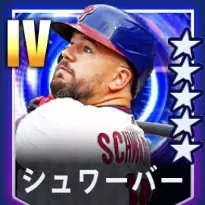 シュワーバー画像