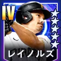 レイノルズ画像