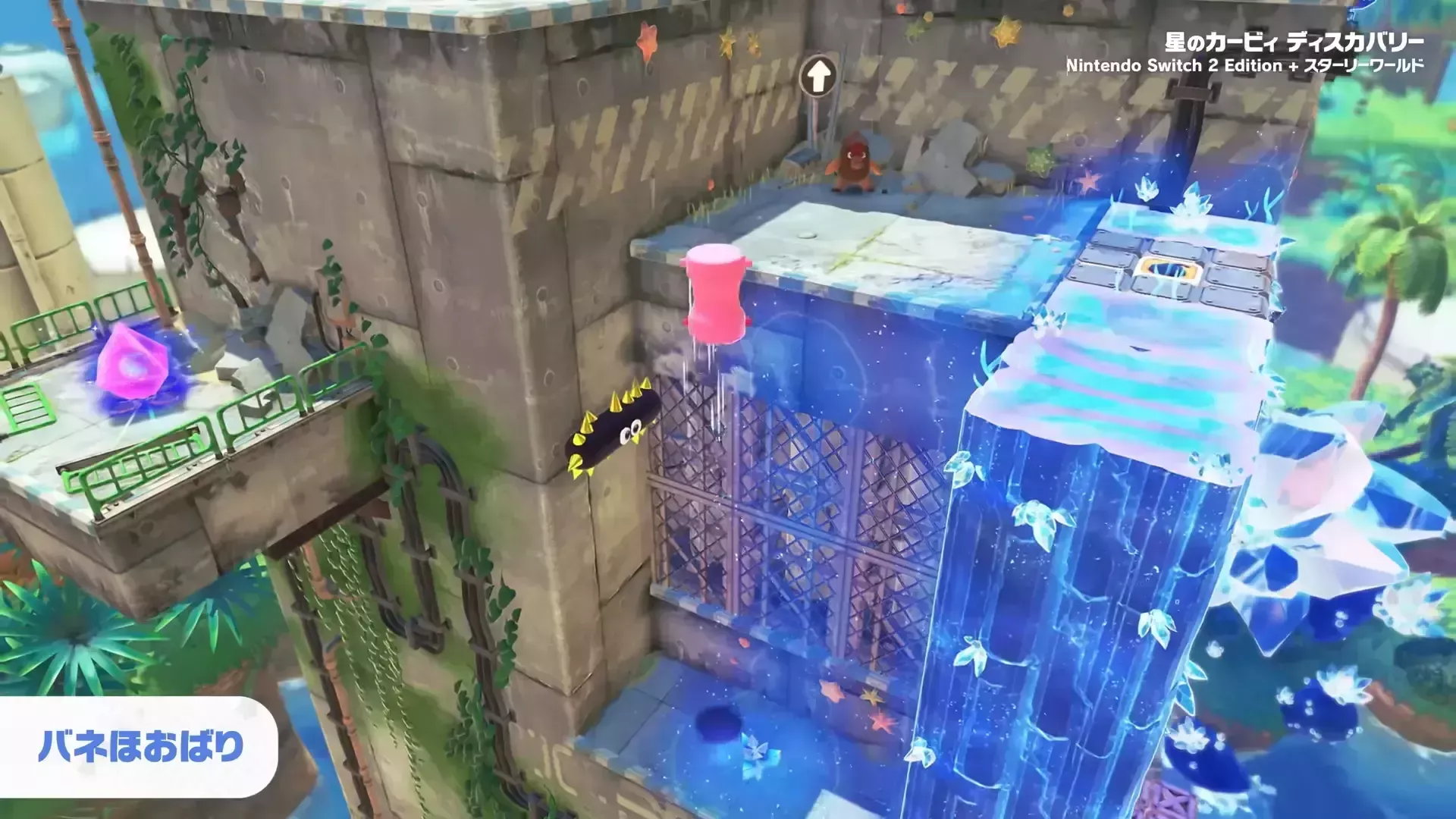 バネほおばりのできること