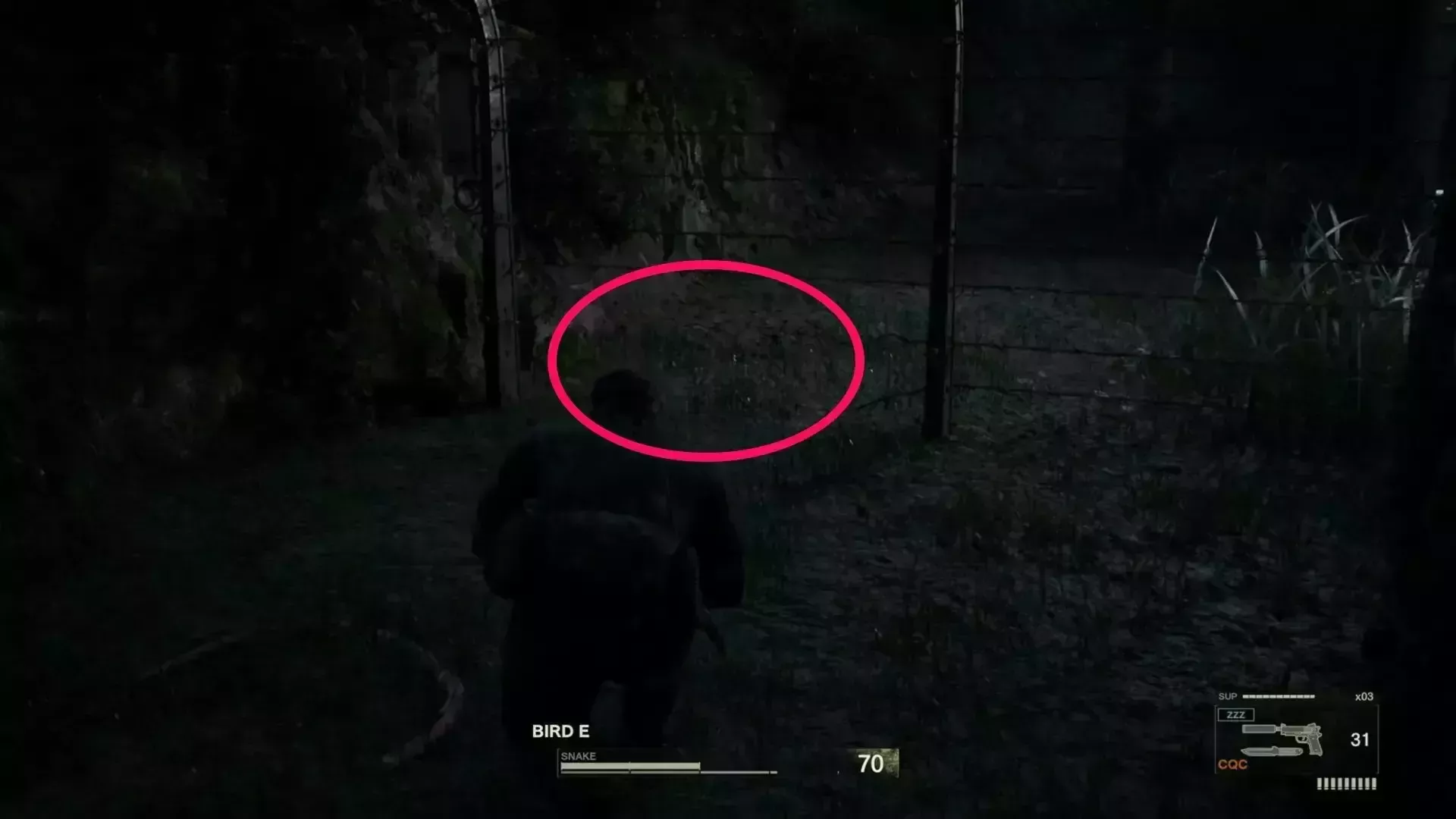 西側フェンスの抜け穴