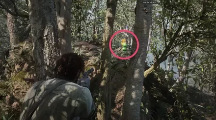 ガーコ1の実際の場所画像