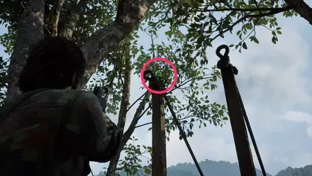 ケロタン4の実際の場所画像