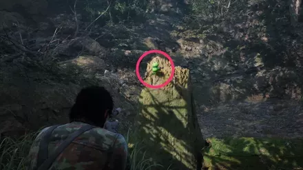 ケロタン3の実際の場所画像