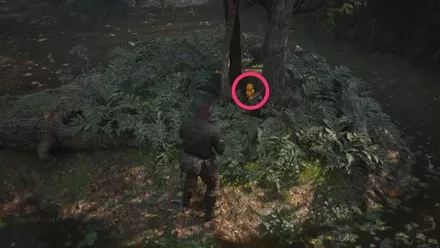 ガーコ2の実際の場所画像