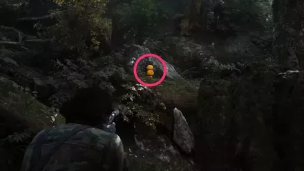 ガーコ3の実際の場所画像