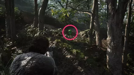 ケロタン2の実際の場所画像