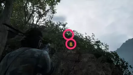 ガーコ10の実際の場所画像