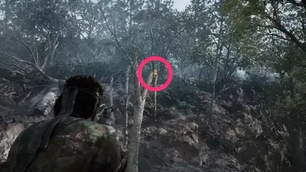 ガーコ7の実際の場所画像