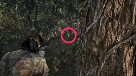 ケロタン7の実際の場所画像