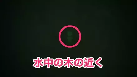 ケロタン12の実際の場所画像