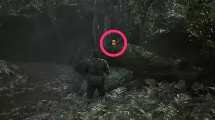 ガーコ8の実際の場所画像