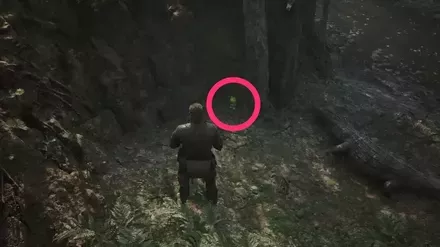 ケロタン8の実際の場所画像