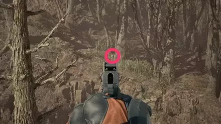 ケロタン15の実際の場所画像