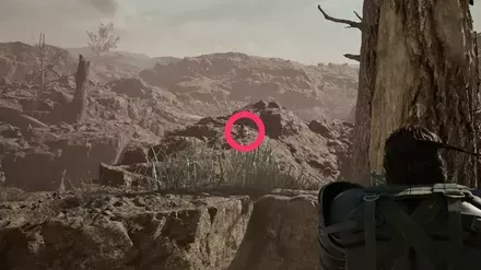 ガーコ15の実際の場所画像