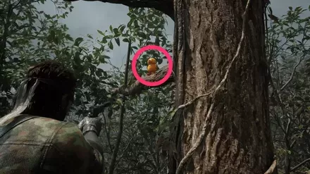 ガーコ13の実際の場所画像