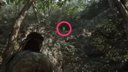 ケロタン9の実際の場所画像