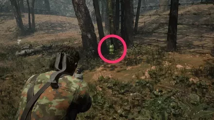 ケロタン13の実際の場所画像