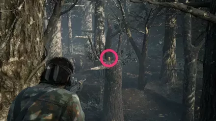 ガーコ23の実際の場所画像