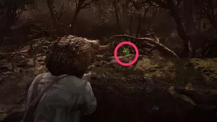 ケロタン19の実際の場所画像