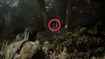 ケロタン24の実際の場所画像