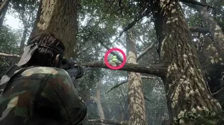 ケロタン23の実際の場所画像