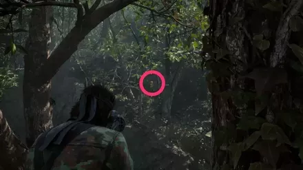 ガーコ29の実際の場所画像