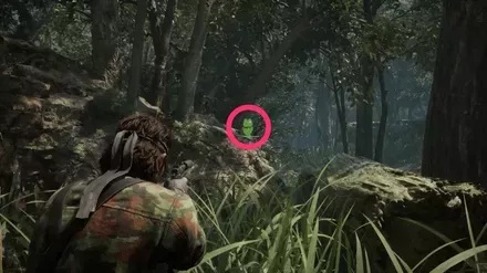 ケロタン30の実際の場所画像