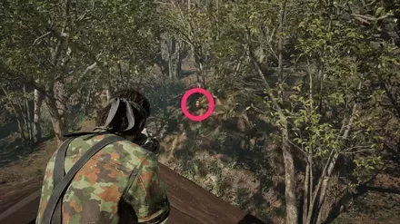 ガーコ31の実際の場所画像