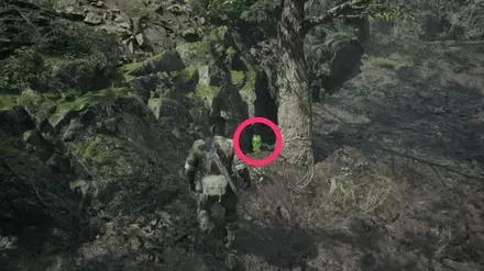 ケロタン33の実際の場所画像