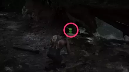 ケロタン49の実際の場所画像