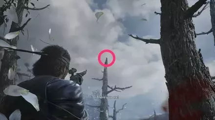 ケロタン64の実際の場所画像