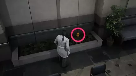 ガーコ46の実際の場所画像