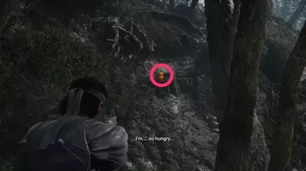 ガーコ63の実際の場所画像