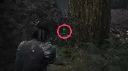 ケロタン63の実際の場所画像