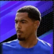 HPリーヴァイコーウィル(08/21)画像