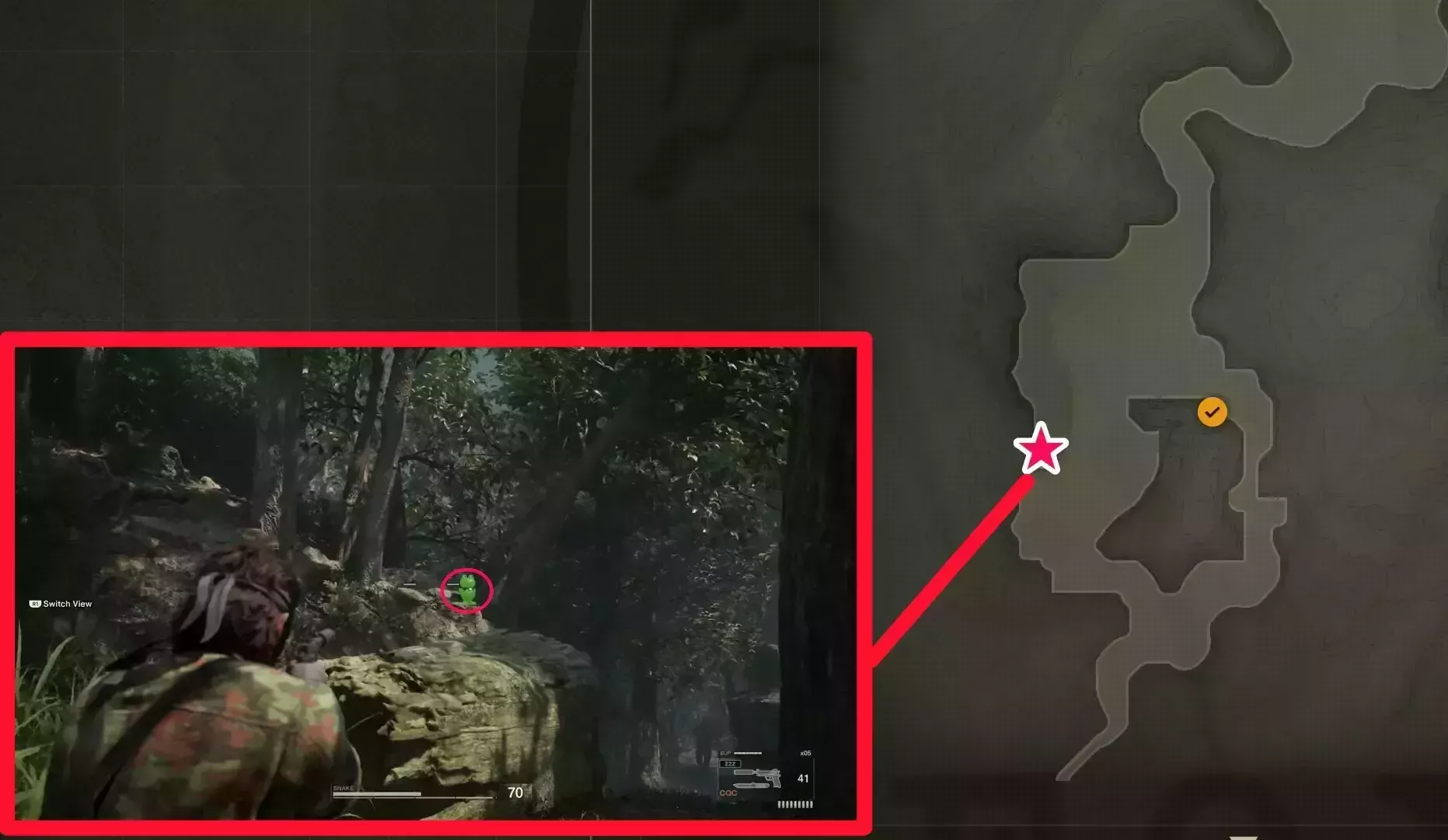 西部のケロタン