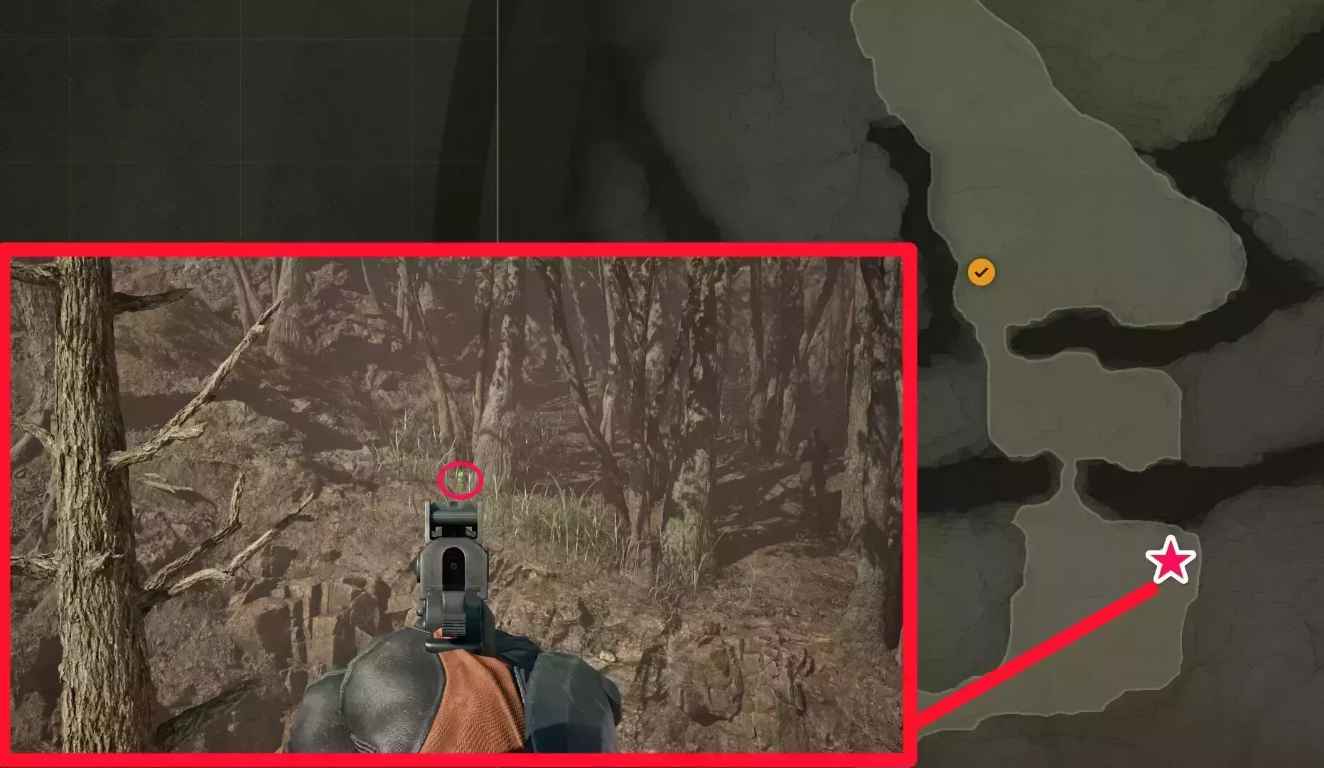 オセロットケロタン