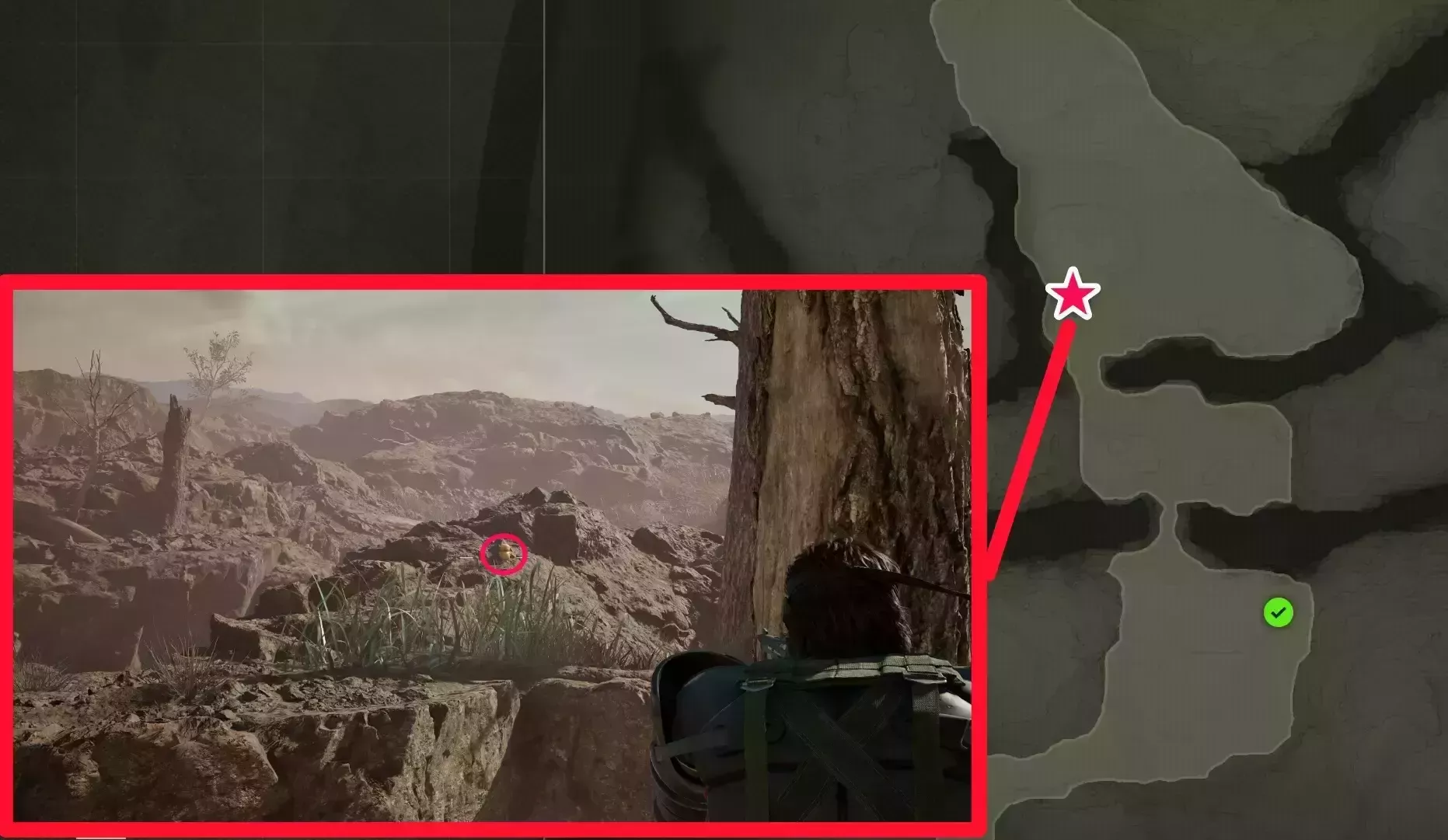 オセロットガー子