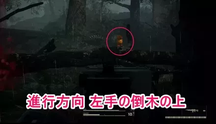 ガーコ60の実際の場所画像