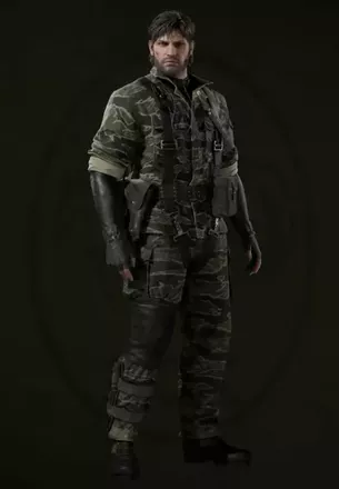 タイガーストライプ画像