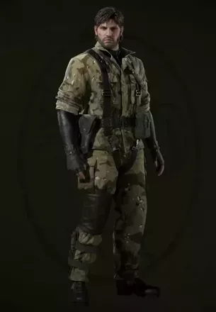 チョコチップ画像