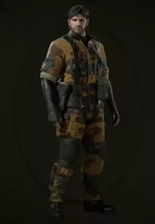 ホーネットストライプ画像