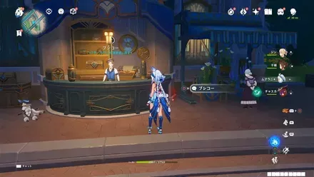 ブシコー(ダーモヴィル雑貨店)の姿